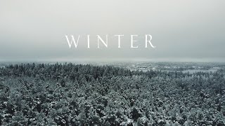 WINTER ｜Cinematic short film  Winter Nature B roll [upl. by Nirag946]