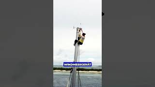 Würdest Du dich trauen 🫢 sportbootführerschein segelboot [upl. by Ailimaj]