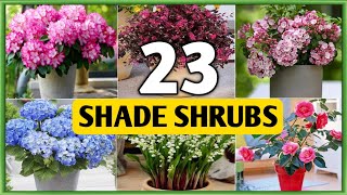 23 Best Shade Loving Shrubs For Garden  Shade Garden Shrubs  Plant and Planting [upl. by Nedry908]