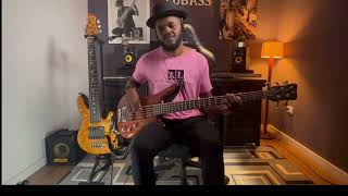 Ludmilla  Maldivas  bass cover [upl. by Aiekam288]