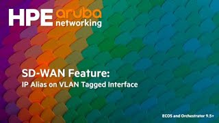 SDWAN Feature IP Alias on VLAN Tagged Interface [upl. by Firahs356]