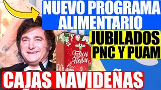 💸Milei Cajas Navideñas y Mejoras en el Programa Alimentar para Jubilados PNC y PUAM de ANSES 💲💳 [upl. by Arvind]