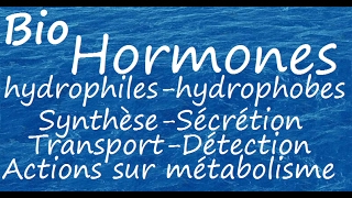 Hormones hydrophiles et hydrophobes [upl. by Tavi]