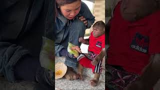 😱OMG  CUTIS is trying to converse with Mom  right  cutis babymonkeycutis shortvideo [upl. by Ehgit842]