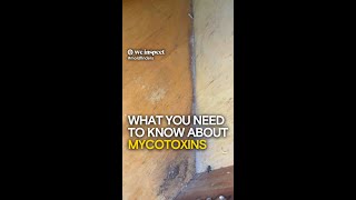 What You Need to Know About Mycotoxins [upl. by Khalsa]