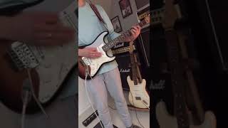 The Parchment  Iron Maiden  Dave Murray Solo Cover [upl. by Hayidan935]