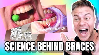 Orthodontist Reacts The Amazing Science Behind Braces [upl. by Wilser]