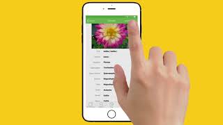 PlantSnap iPhone Demo 2017  Revised [upl. by Anesuza]