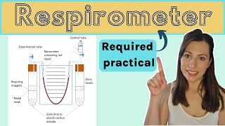 A level Biological Molecules  Learn the ENTIRE topic in this video AQA A level Biology Revision [upl. by Paul161]