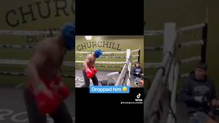 Man Knocks Out SPARRING PARTNER reels stitch ahorts boxing knockouts fighting training [upl. by Nonregla]