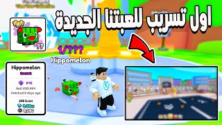 PETS GO ✨ فتحت اغلى بت سيكريت واخيرا اول تسريب للعبتنا الجديدة [upl. by Peace]