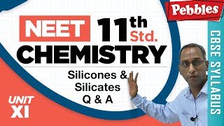 NEET 11th Std Chemistry  Silicones amp Silicates  Solved Question  UnitXI [upl. by Klotz]