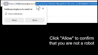 Remove Hobborputogitycoin Popup Notifications Scam  Block Hobborputogitycoin ads [upl. by Mira]