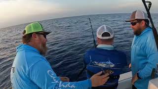 Bimini Bahamas fishing and Crossing 4CF [upl. by Filippo]