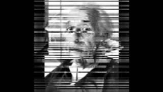 Landscape  Einstein a gogo [upl. by Ahsekan]