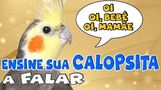 ENSINE a sua CALOPSITA a FALAR  calopsitafalando [upl. by Allveta]