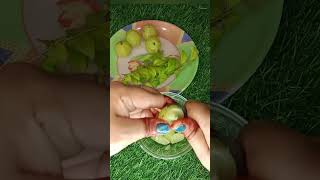 Amla juice for hair fall control boost hair growth amlajuice hairgrowth skincare [upl. by Ardnohs575]