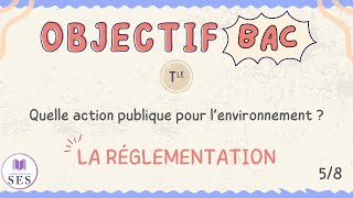 BAC Cours Environnement  La réglementation [upl. by Fredrick]