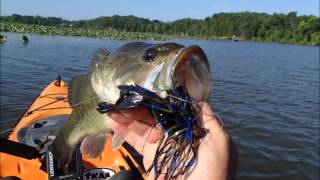 Bass Fishing at Mattawoman Creek Md [upl. by Melisenda]