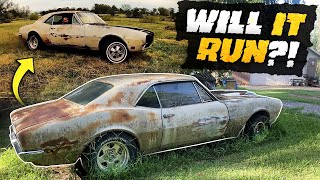 From ABANDONED to HOTROD 1967 Firebird WILL IT RUN fast edition [upl. by Yeliac]