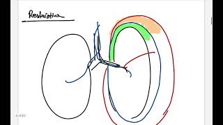 Systemic Pathology Obstructive vs Restrictive Lung Disease Dr Murtoza Shahriar [upl. by Alfredo220]