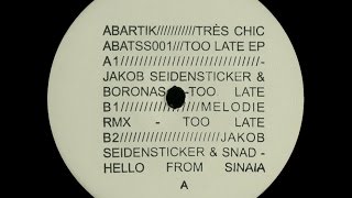 Jakob Seidensticker amp Boronas  Too Late Melodie Remix [upl. by Remy]