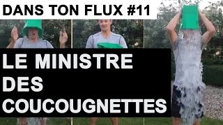 Le ministre des coucougnettes DansTonFlux 11 [upl. by Demahum671]