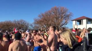 2017 Toronto Polar Bear Dip [upl. by Malvina]