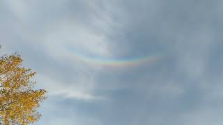 ☁️🌈 Rainbow Sundog  Kelso WA 1172024 🌈☁️ [upl. by Acina]