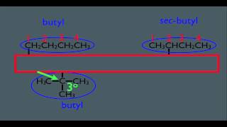 Naming Substituents in Organic Chemistry [upl. by Pedro778]