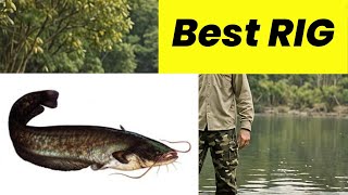 Best Catfish Rig Works for bank fishing lake fishing and rivers [upl. by Ahsirtak]