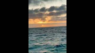 Coogee Beach Western Australia 🌅sunset timelapse [upl. by Erialc828]