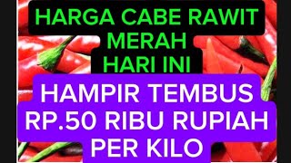 HARGA CABE RAWIT MERAH HARI INI DI PASAR 11 OKTOBER 2024 [upl. by Akined292]