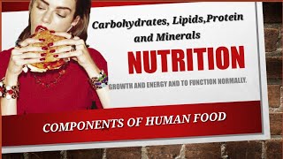 Nutrition Part2 Components of human foods Carbohydrates Lipids Protein BIOLOGY Ch 8 Class 9 Urdu [upl. by Anilev]