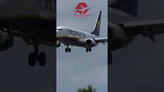 Ryanair Boeing 737800 CloseUp Landing  Bumpy Touchdown at Airport shorts [upl. by Yanehc]