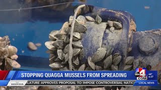 Stopping quagga mussels from spreading [upl. by Dnumsed668]