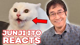 Junji Ito Reacts to YOUR Cats  React [upl. by Danialah323]