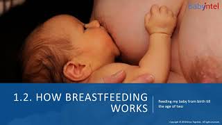 How breastfeeding works Lesson 121 Objectives [upl. by Ahola506]