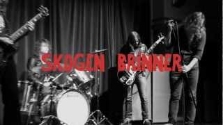 Skogen Brinner  Pundarvarning OFFICIAL MUSIC VIDEO [upl. by Ynoble]