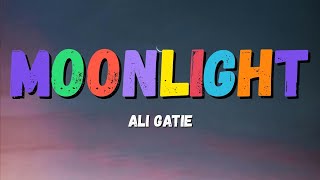 Ali Gatie  Moonlight Lyrics [upl. by Culbertson]