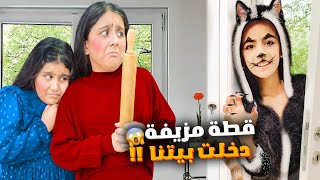 قطة مزيفة شريرة دخلت بيتنا هيلين وهيفي خافوا منها ضربتهم وصارت مجنونة [upl. by Krik]