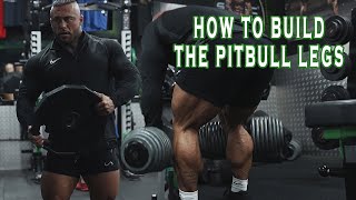 The Pitbull Way HAMSTRINGS IT WENT OFF [upl. by Nylime811]