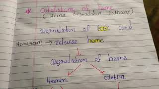 Catabolism of heme OR Heme degradation Pathway [upl. by Lamonica]