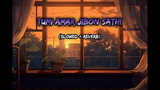 Tumi Amar Jibon Sathi  Slowed amp Reverb  youtube lofisong [upl. by Ausoj]