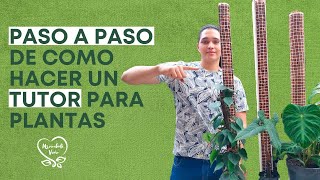 El PASO A PASO de elaborar un TUTOR para tus plantas trepadoras [upl. by Arrol]