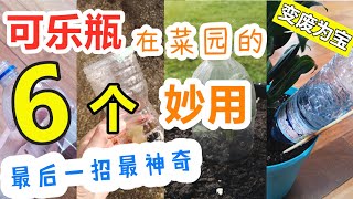 【废物利用】矿泉水瓶使用方法大全💡 6个技巧对种菜有帮助 [upl. by Arleta]