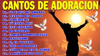 PODEROSAS CANCIONES CRISTIANAS PARA LIBERAR TU MENTE Y EL CORAZÓN 🕊️🕊️ SUPE QUE ME AMABAS 🙏🙏 [upl. by Akym834]