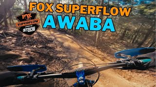 Fox SuperFlow Awaba 2024 [upl. by Tur]