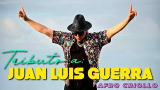 AFRO CRIOLLO TRIBUTO A JUAN LUIS GUERRA  HOUSE MIX GRANDES ÉXITOS [upl. by Aikaj436]