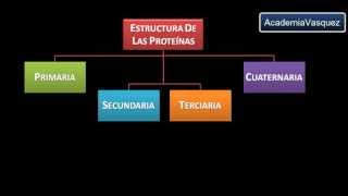 Estructura y Organización de las Proteínas [upl. by Nahsin841]